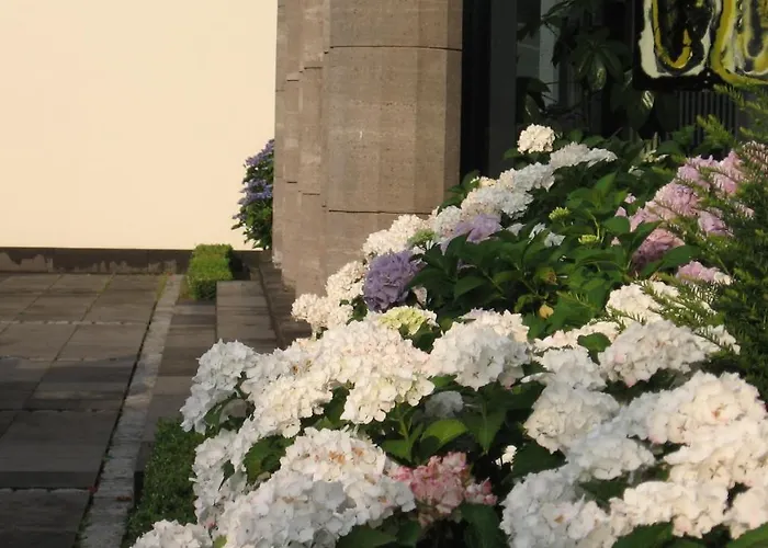 Weisser Berg Hotel 4*